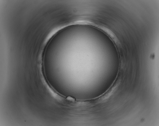 X0000101141430200807110932