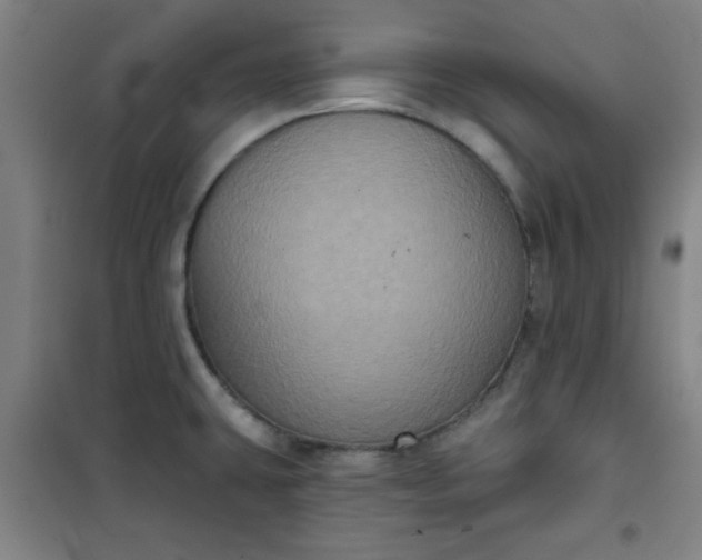 X0000101141431200807110932