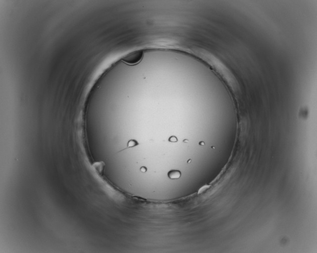 X0000101141432200807110932