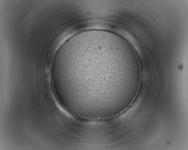 X0000101141433200807110932