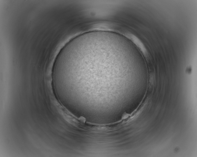 X0000101141435200807110932