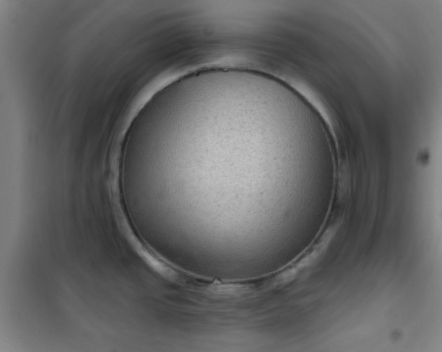 X0000101141437200807110932