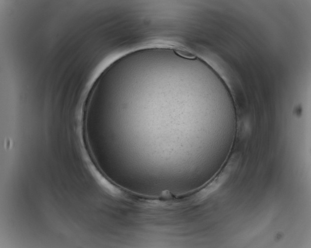 X0000101141438200807110932