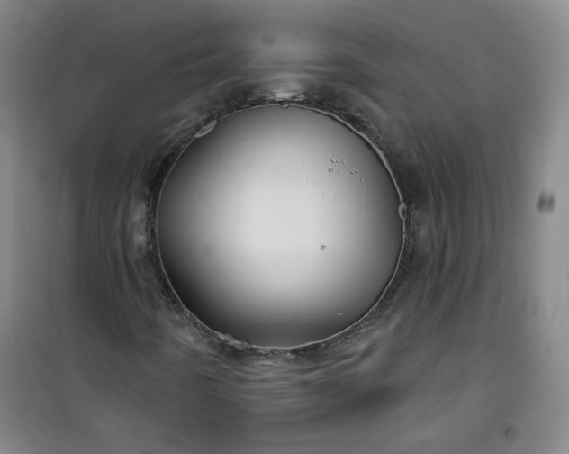 X0000101141442200807110931