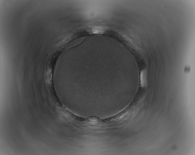 X0000101141443200807110931