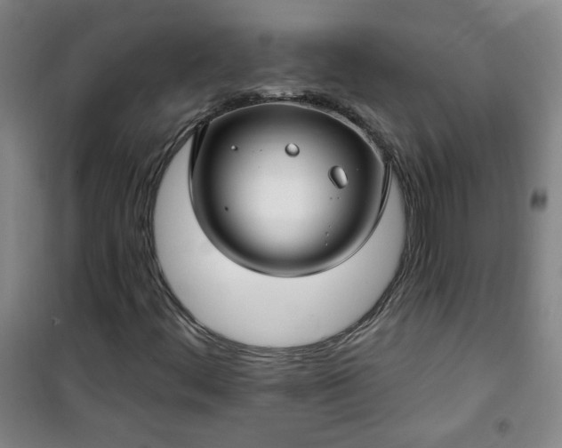 X0000101141444200807110931