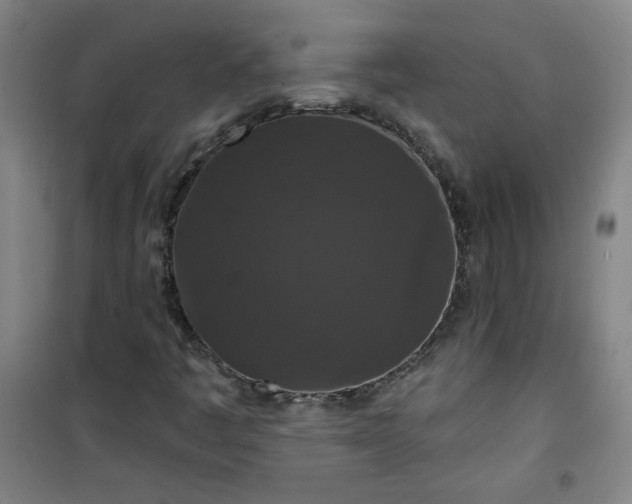 X0000101141445200807110931