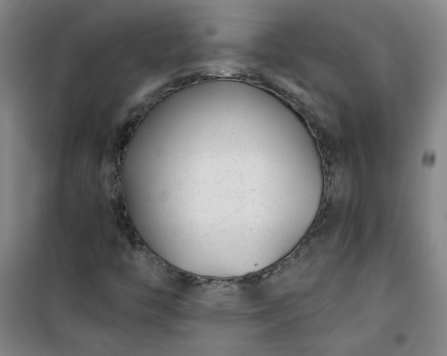 X0000101141446200807110931