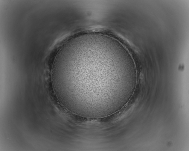 X0000101141447200807110931