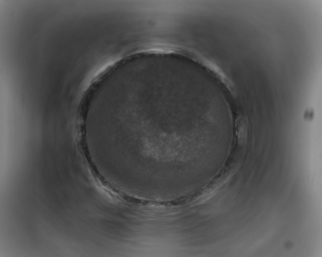 X0000101141448200807110931