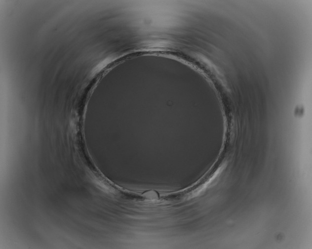 X0000101141449200807110931