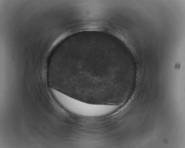 X0000101141450200807110931