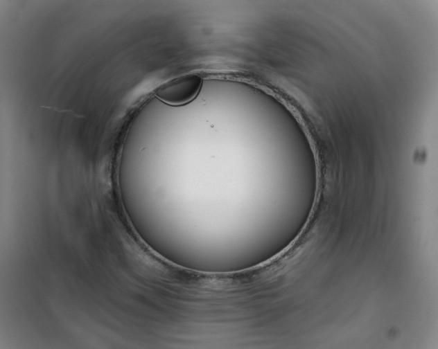 X0000101141451200807110931