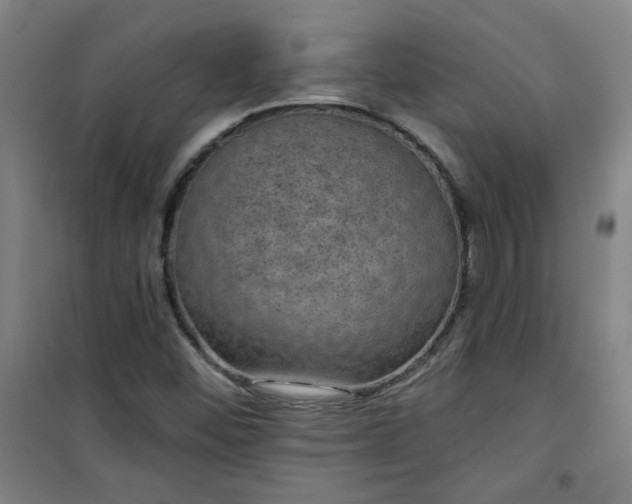 X0000101141452200807110931