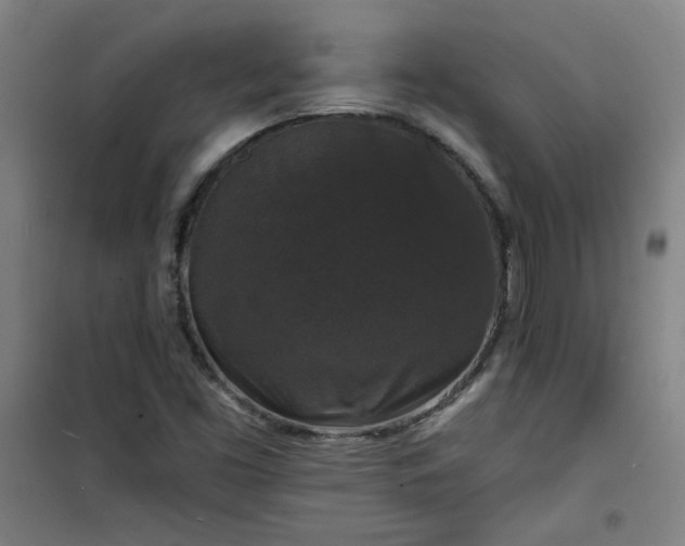 X0000101141453200807110931