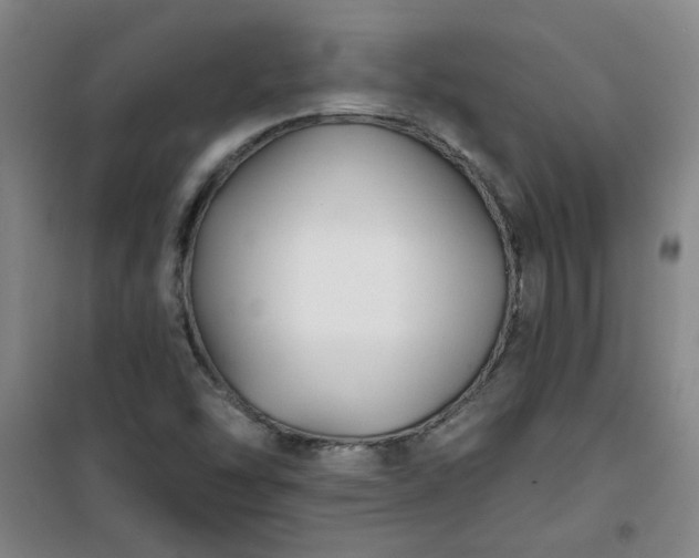 X0000101141454200807110931