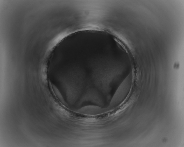 X0000101141455200807110931