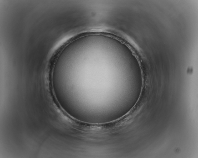 X0000101141456200807110931