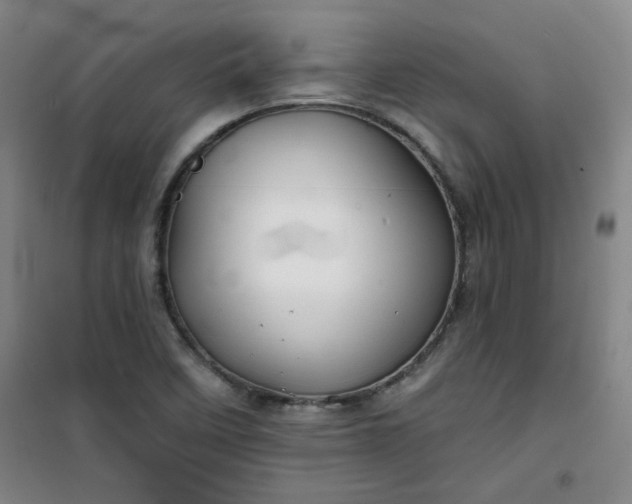 X0000101141458200807110931