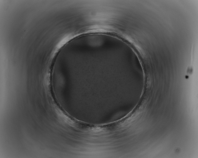 X0000101141459200807110931