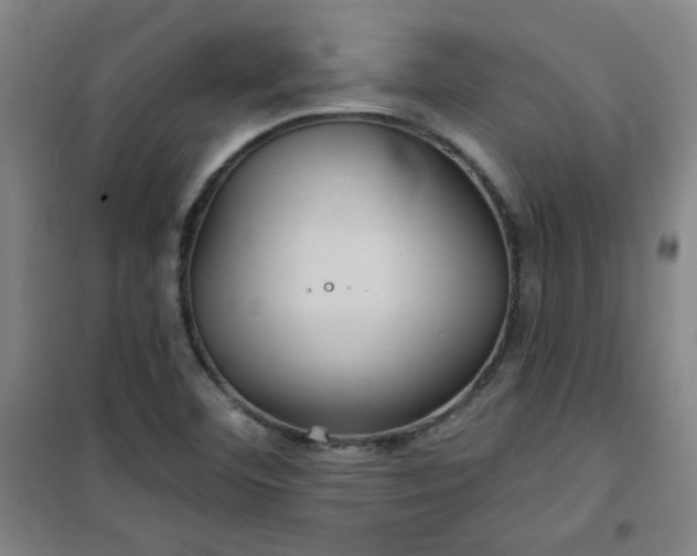 X0000101141460200807110931