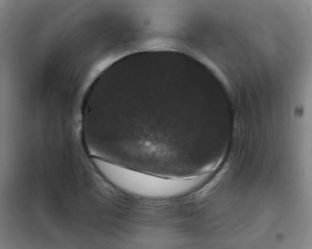 X0000101141461200807110931