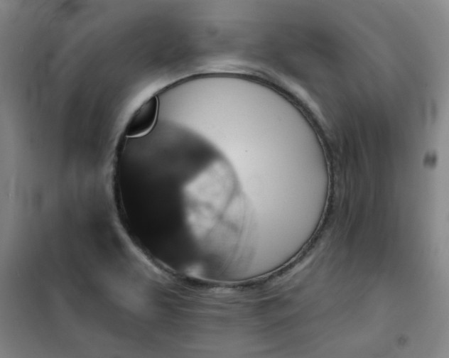 X0000101141463200807110931