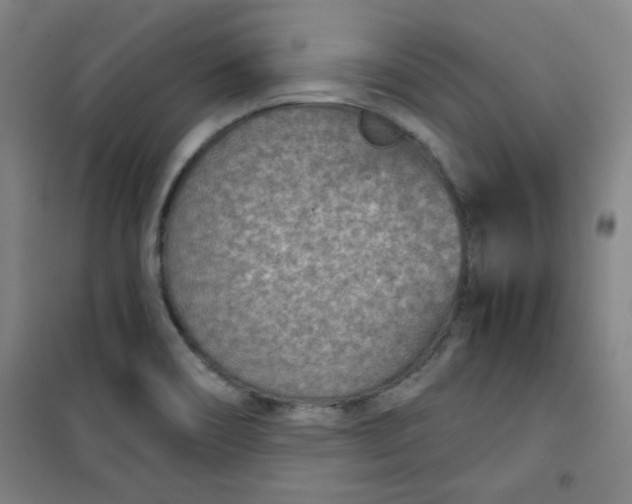 X0000101141466200807110931