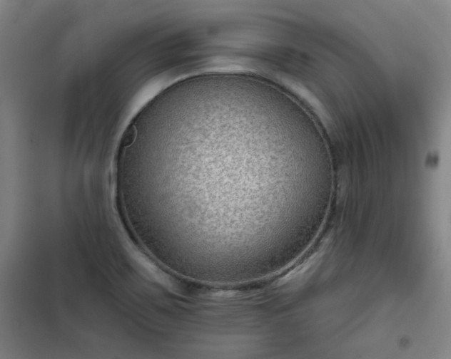 X0000101141467200807110931