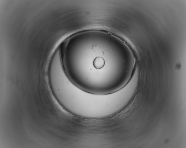 X0000101141468200807110931