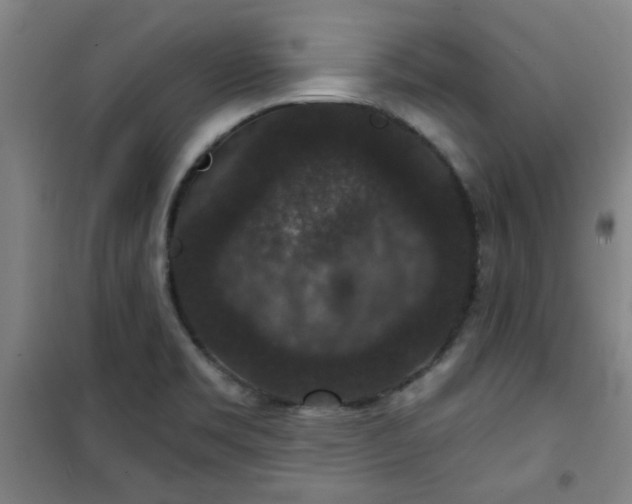 X0000101141469200807110931