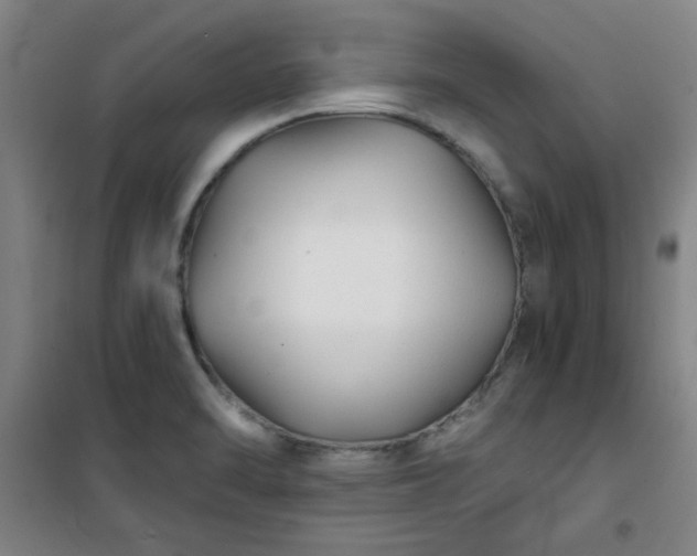 X0000101141470200807110931