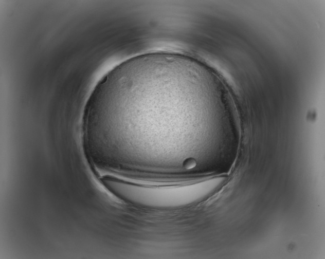 X0000101141471200807110931