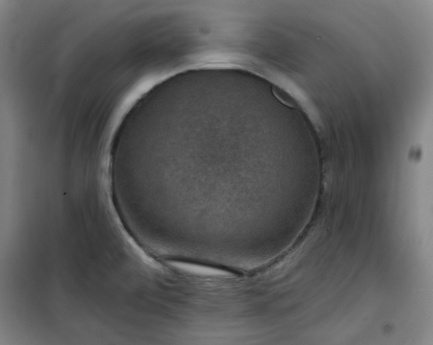 X0000101141472200807110931