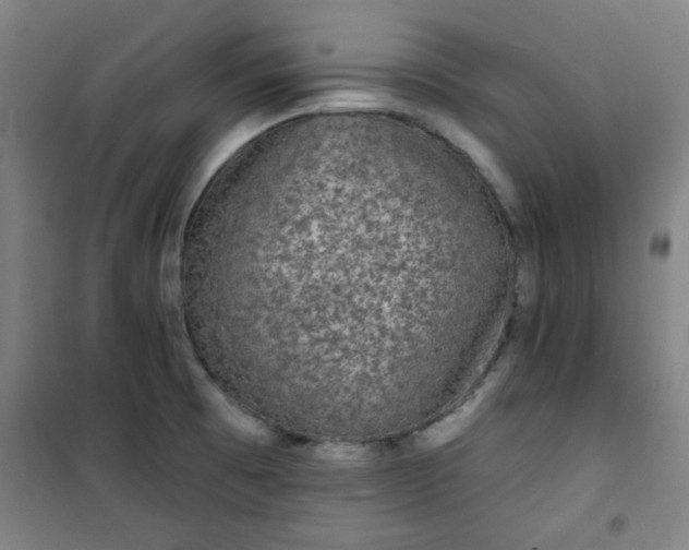 X0000101141473200807110931