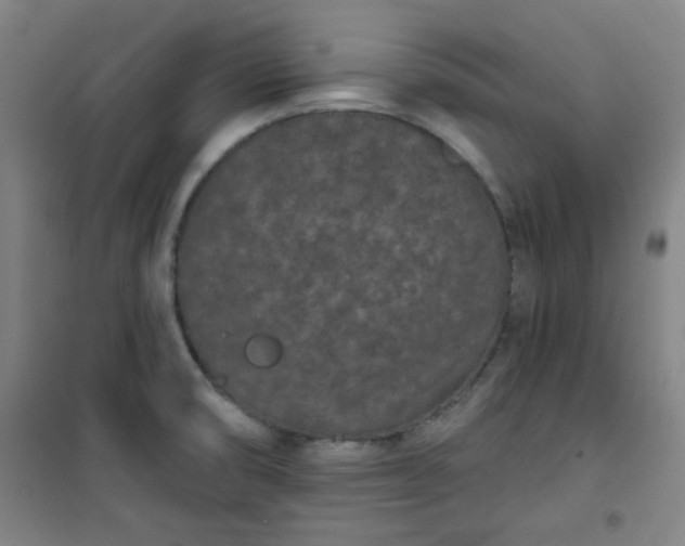 X0000101141474200807110931