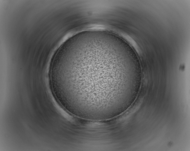 X0000101141475200807110931