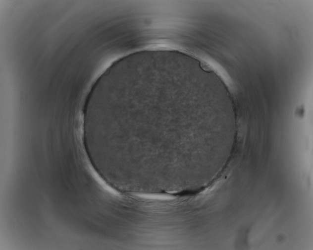 X0000101141476200807110931