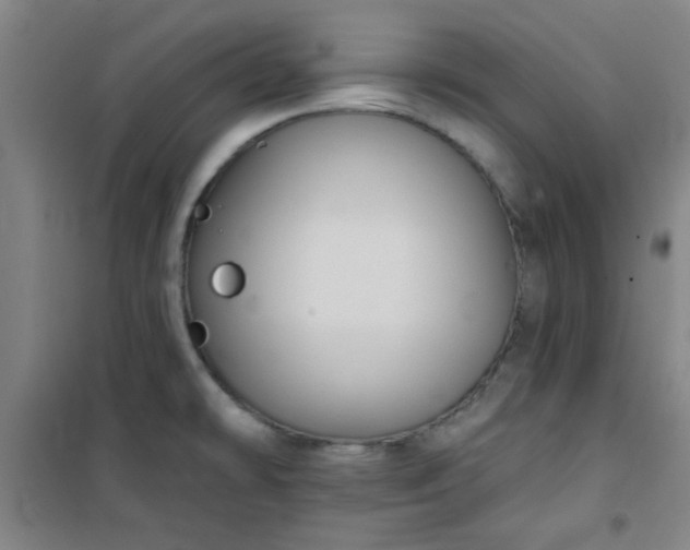 X0000101141478200807110931