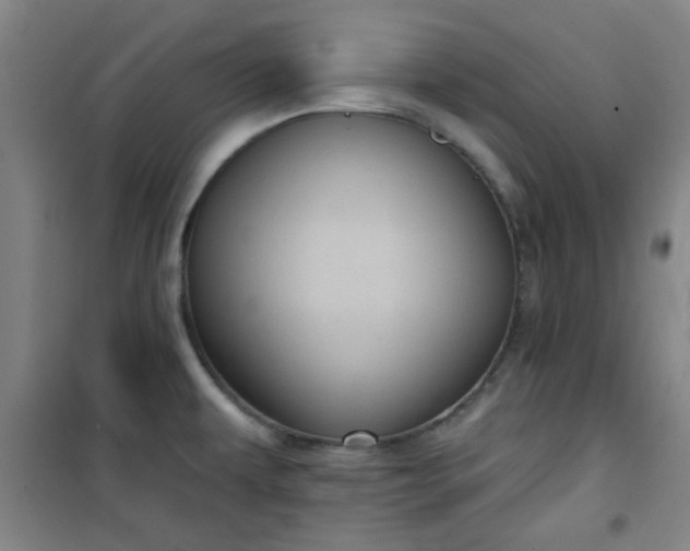 X0000101141479200807110931