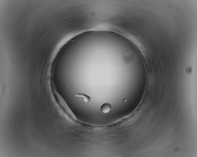 X0000101141480200807110931