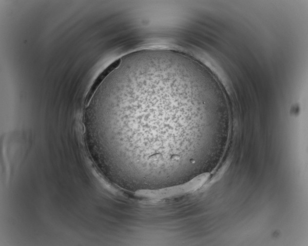 X0000101141481200807110931