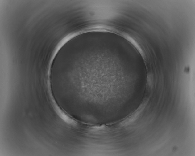 X0000101141482200807110931