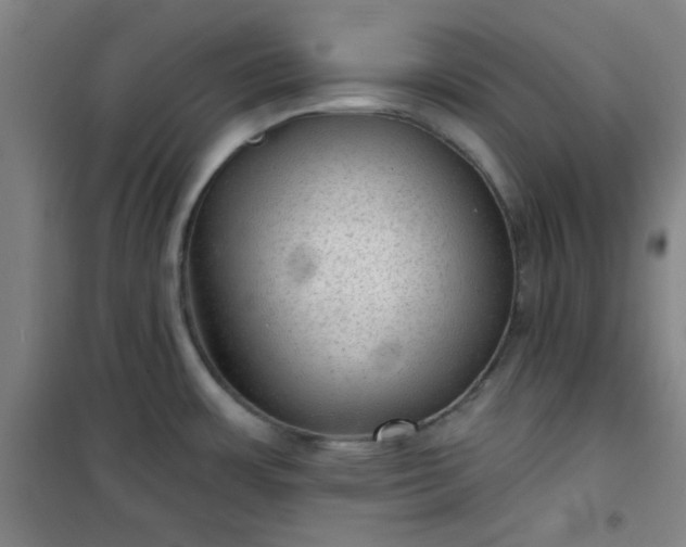 X0000101141483200807110931