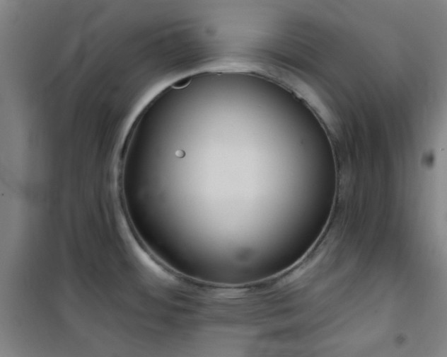 X0000101141484200807110931