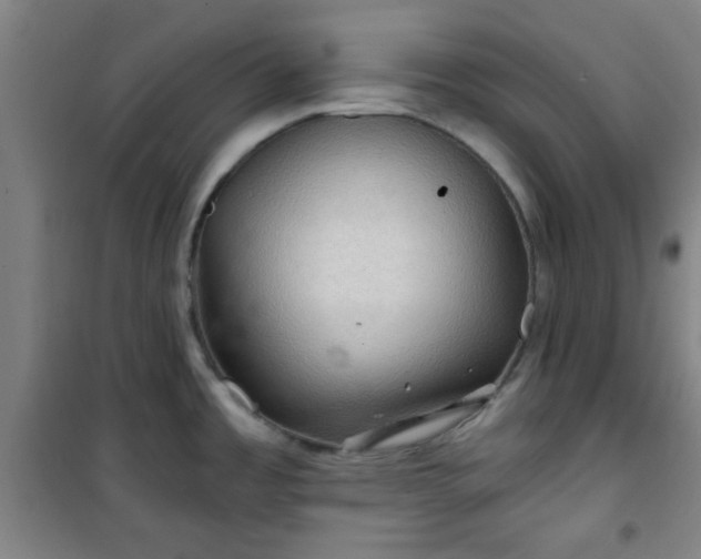 X0000101141485200807110931