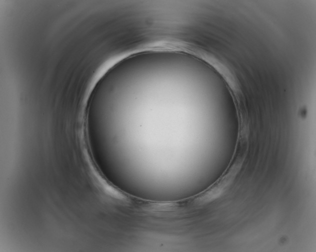 X0000101141486200807110931