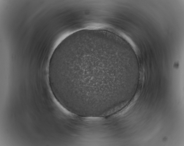 X0000101141487200807110931