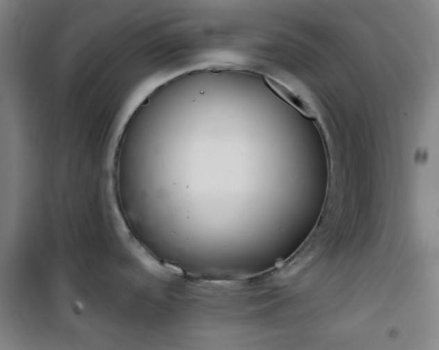 X0000101141488200807110931