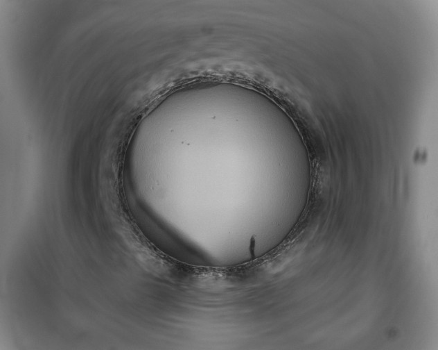 X0000101141489200807110930